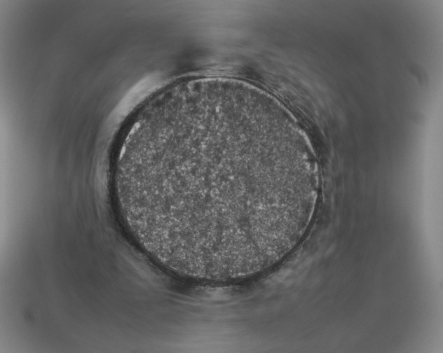 X0000113350295200910131245