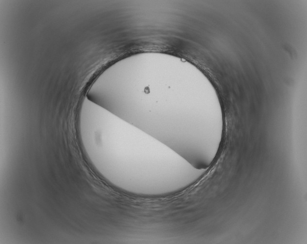 X0000113350297200910131245