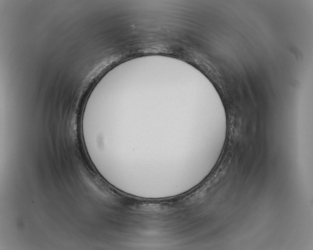 X0000113350298200910131245