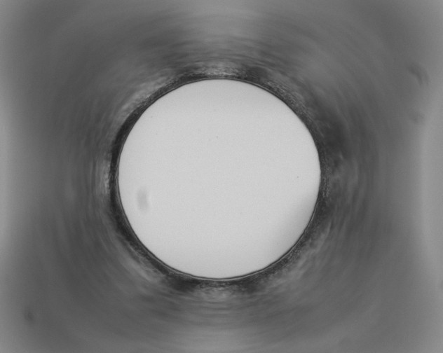 X0000113350299200910131245