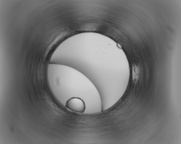 X0000113350300200910131245