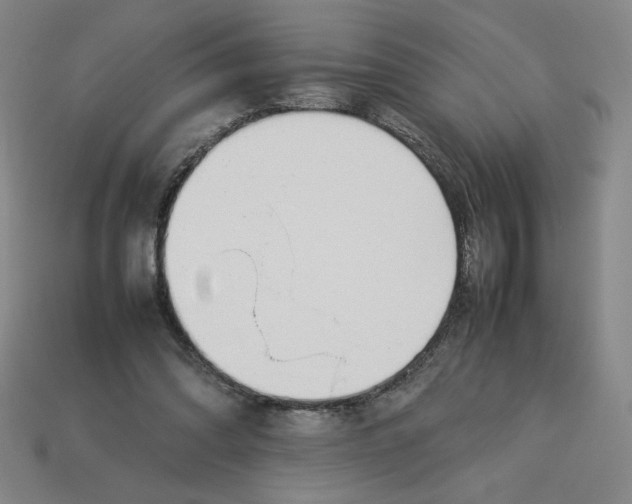 X0000113350302200910131245