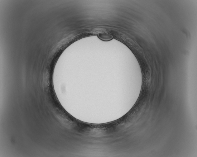 X0000113350303200910131245