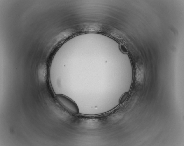 X0000113350304200910131245