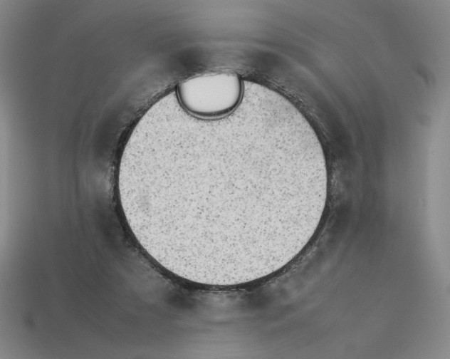 X0000113350305200910131245