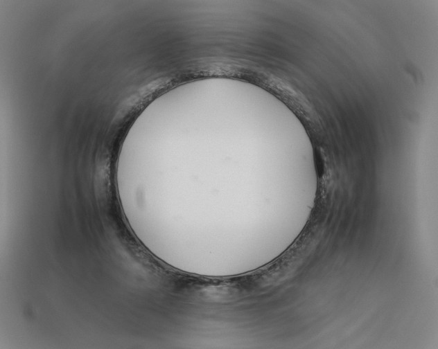 X0000113350306200910131245