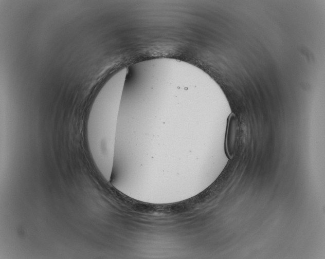 X0000113350308200910131245
