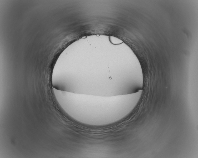 X0000113350309200910131245