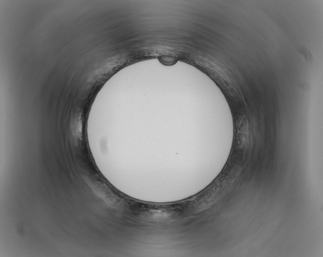 X0000113350310200910131245