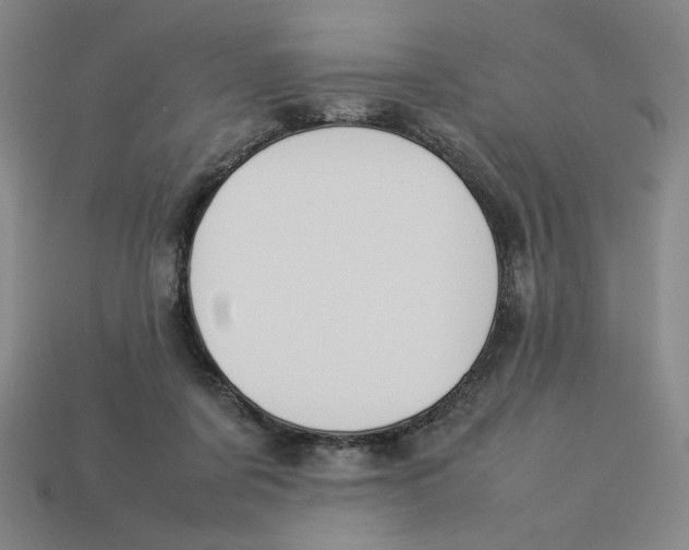 X0000113350311200910131245