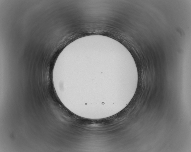 X0000113350312200910131245