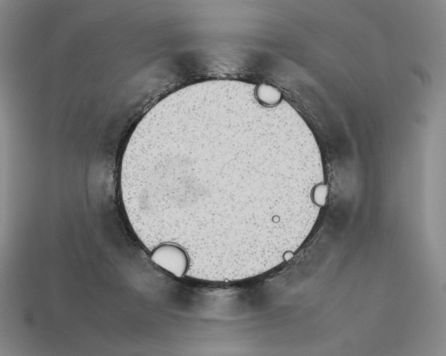 X0000113350313200910131245