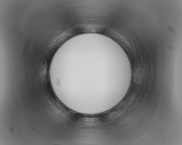 X0000113350314200910131245