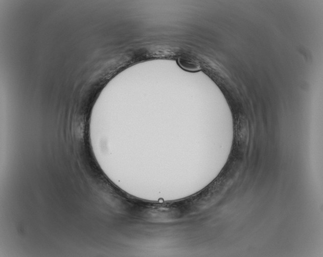 X0000113350315200910131245