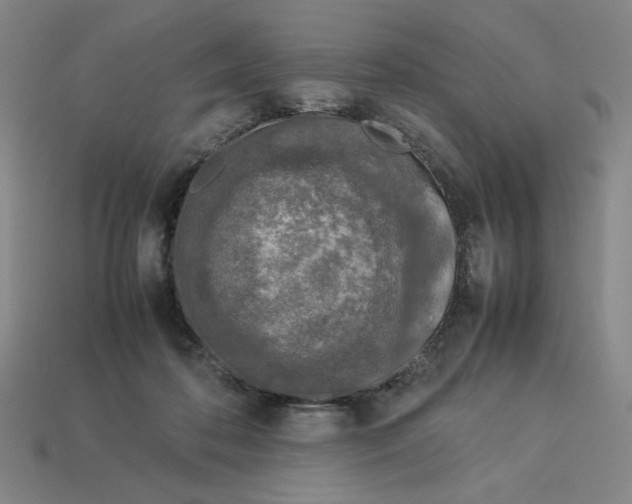 X0000113350316200910131245