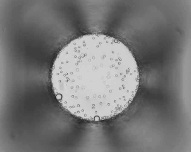 X0000113350317200910131245