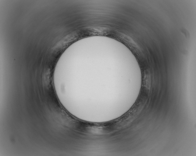 X0000113350318200910131245