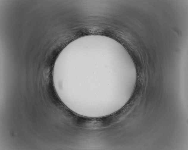 X0000113350319200910131245