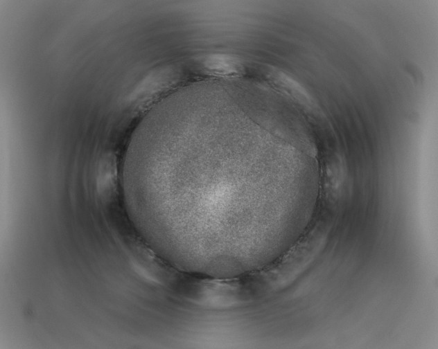 X0000113350320200910131245