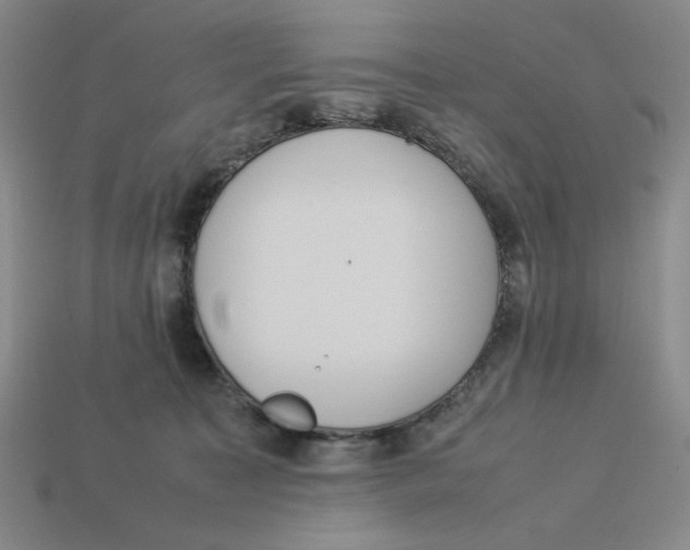 X0000113350323200910131245