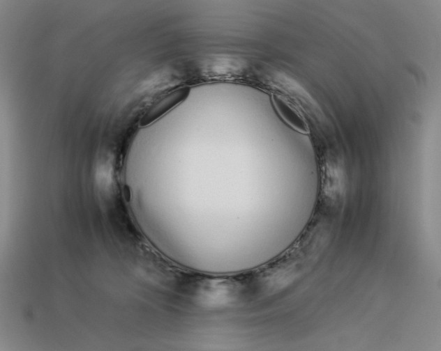 X0000113350324200910131245