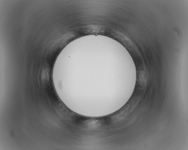 X0000113350326200910131245