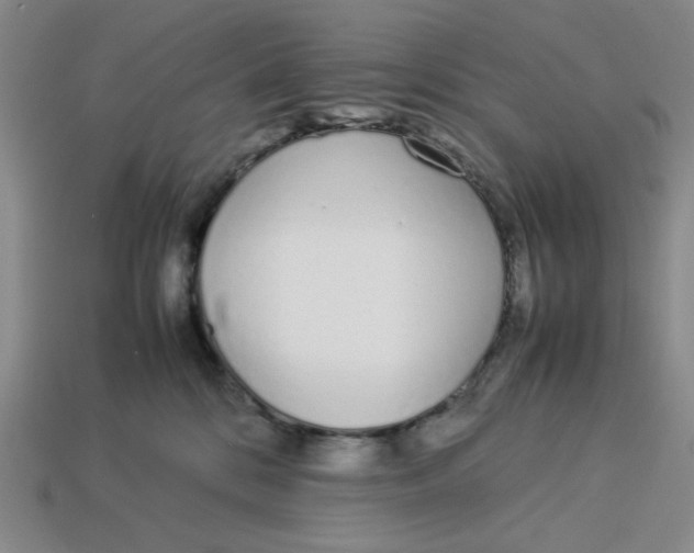 X0000113350328200910131245