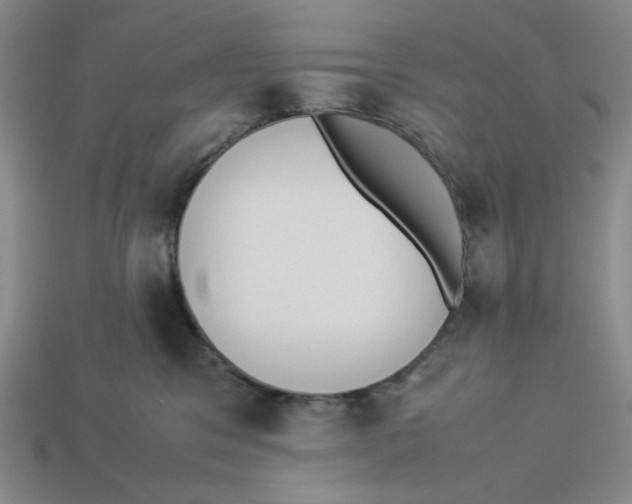 X0000113350329200910131245