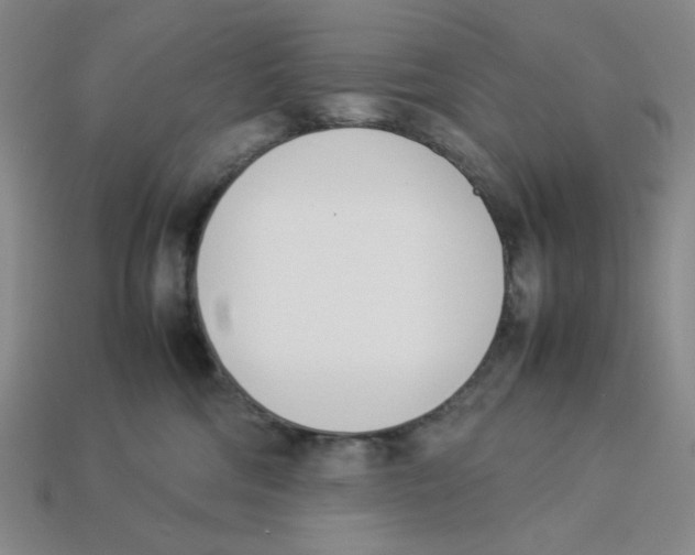 X0000113350330200910131245