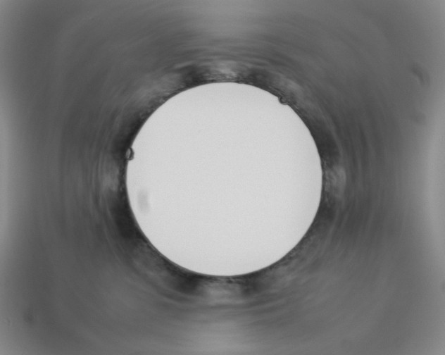 X0000113350331200910131245