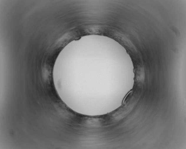 X0000113350332200910131245