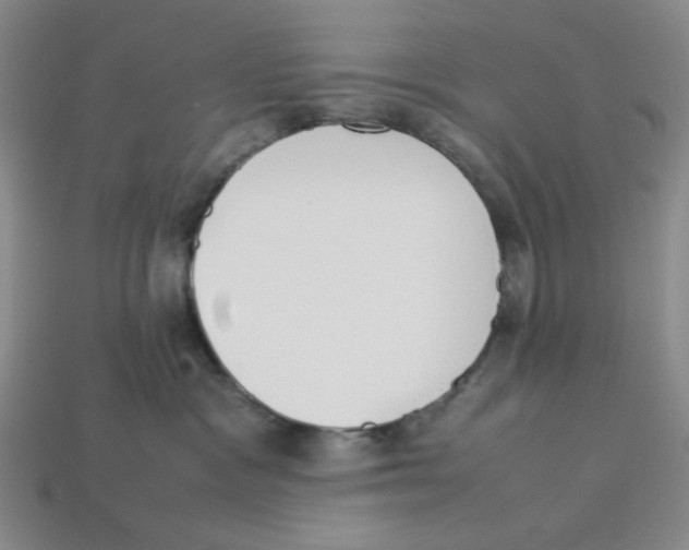 X0000113350333200910131245