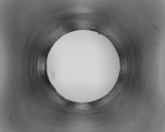 X0000113350334200910131245