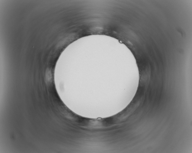 X0000113350335200910131245