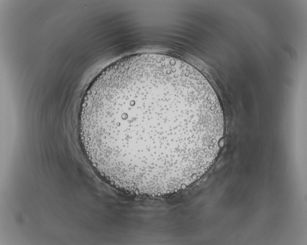 X0000113350337200910131244