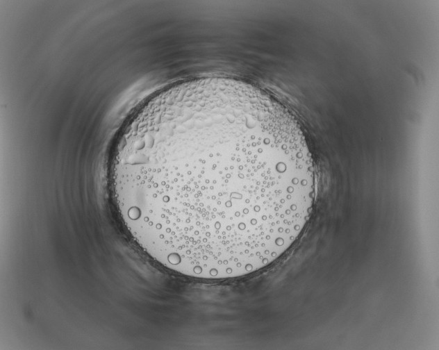 X0000113350339200910131244