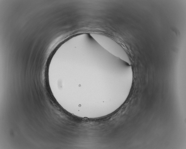 X0000113350340200910131244