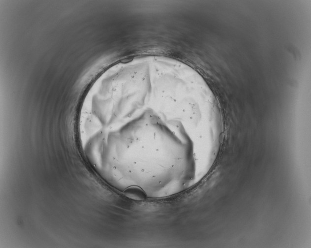 X0000113350341200910131244