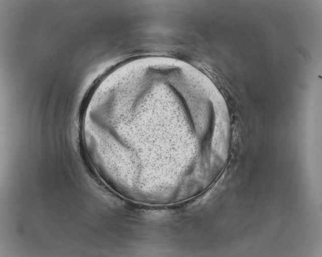 X0000113350342200910131244