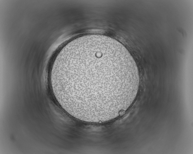 X0000113350343200910131244