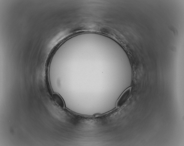 X0000113350344200910131244