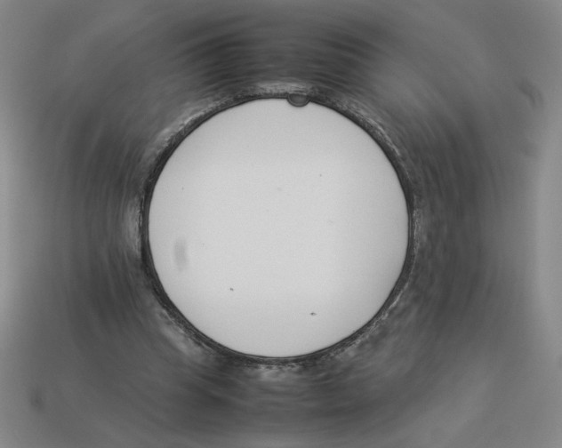 X0000113350345200910131244