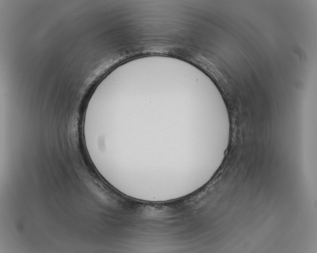 X0000113350346200910131244