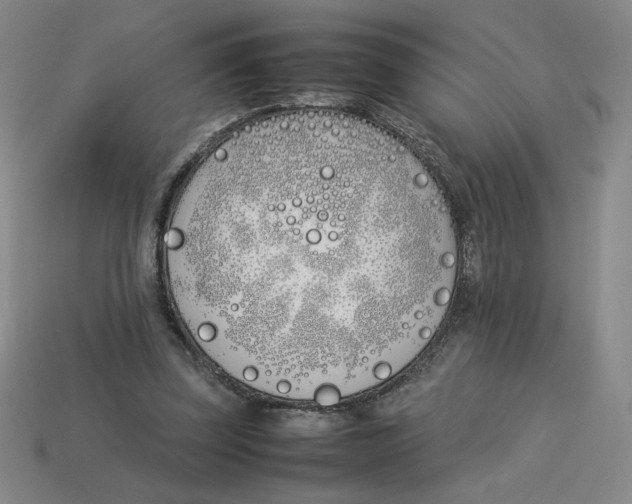 X0000113350347200910131244