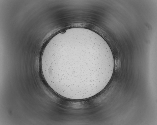 X0000113350349200910131244