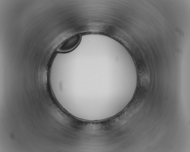 X0000113350350200910131244