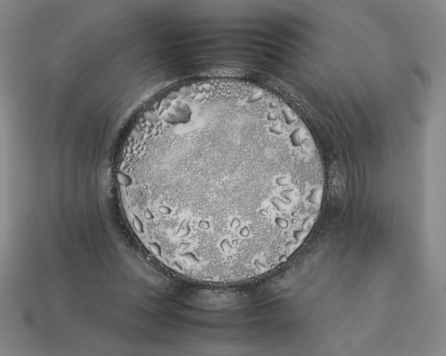 X0000113350351200910131244