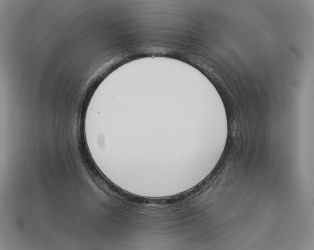 X0000113350352200910131244