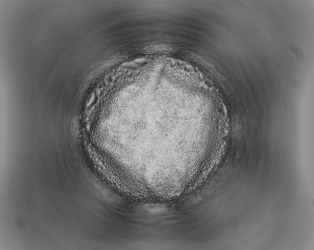 X0000113350353200910131244