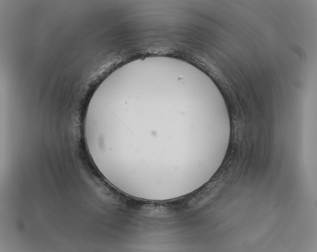 X0000113350354200910131244